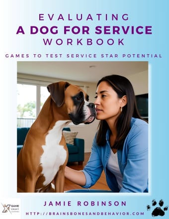 Cover: Evaluating a Dog for Service