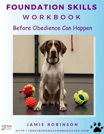 Cover: Foundation Skills Workbook
