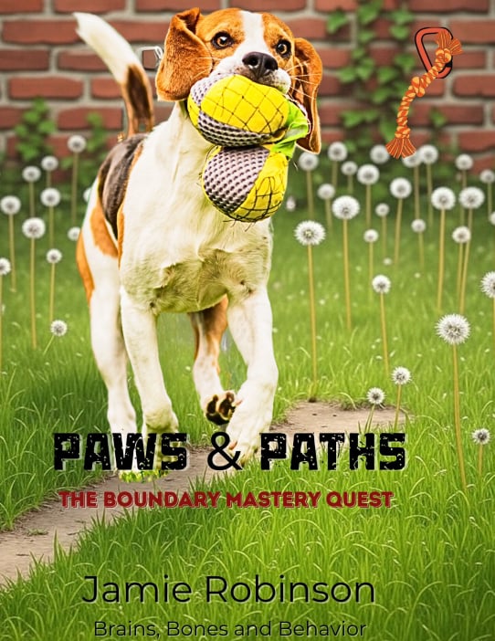 Cover: Paws & Paths — The Boundary Mastery Quest