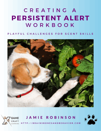 Cover: Creating a Persistent Alert Workbook