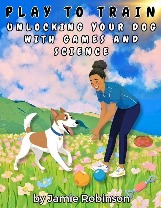 Cover: Play to Train