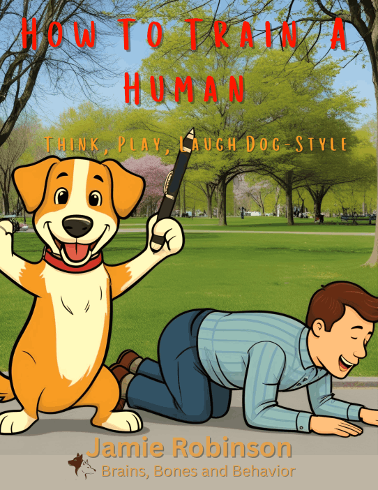 Cover: How To Train A Human