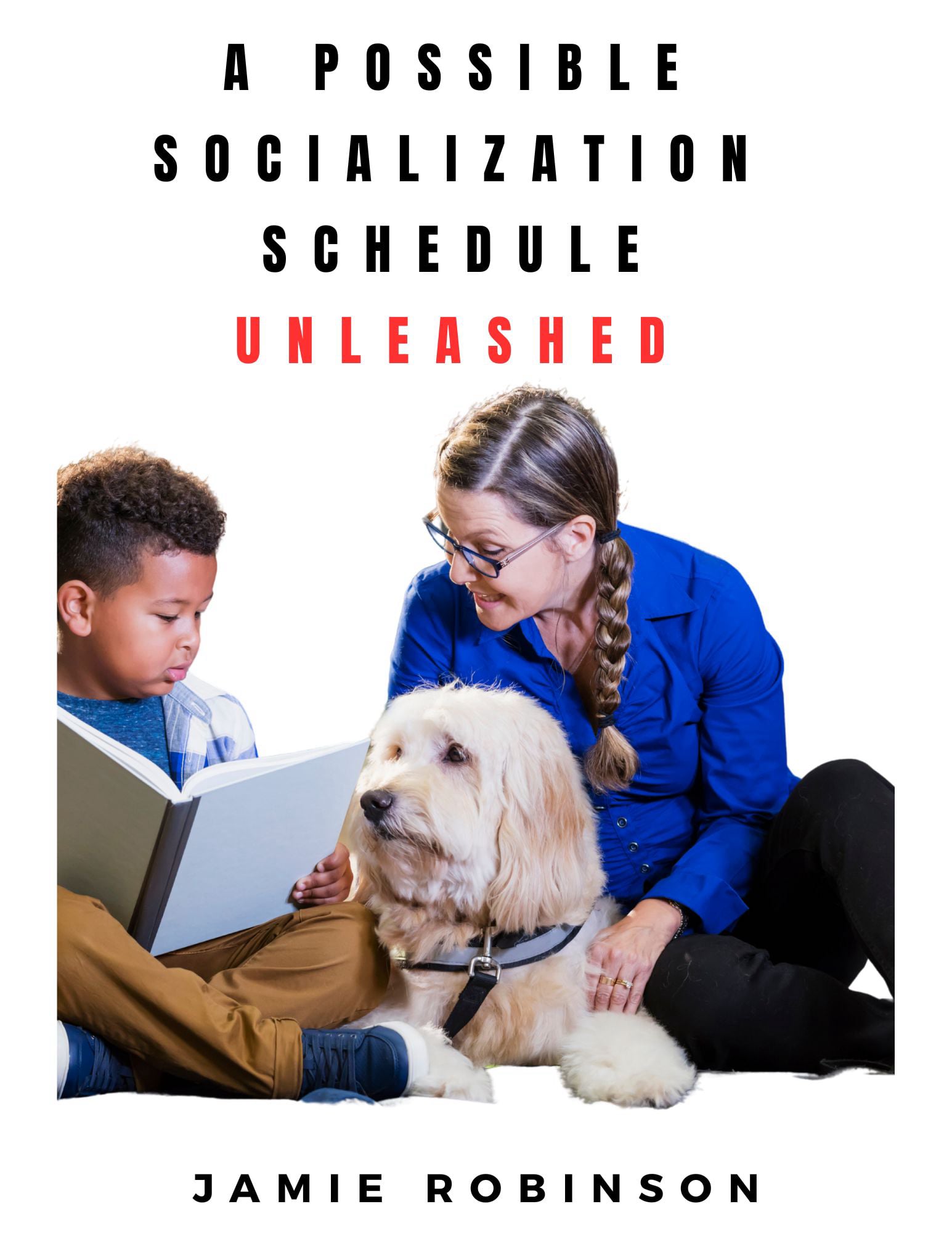 Cover: A Possible Socialization Schedule
